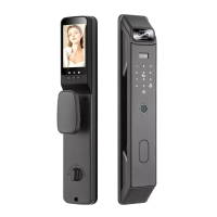 Ausaulio 人臉識別智能自動門鎖 V30