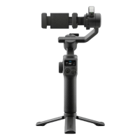 GoPro Fluid Pro AI 穩定器