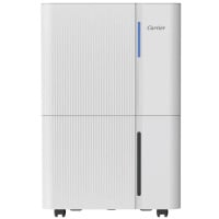 Carrier 開利 22公升空氣淨化定頻抽濕機 DCM22FW