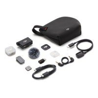 DJI Mic Mini 2 (一發一收)