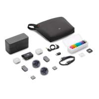 DJI Mic Mini 2 (兩發一收，含充電盒)