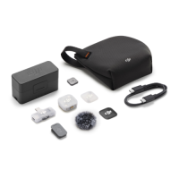 DJI Mic Mini 2 (手機版一發一收，含充電盒)